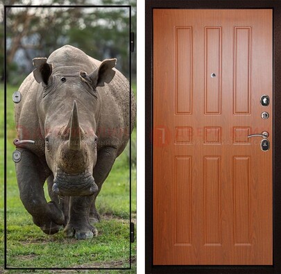 Металлическая дверь с фотопечатью носорога ДФ-31 в Старой Купавне