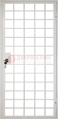Белая металлическая решетчатая дверь ДР-2 в Старой Купавне